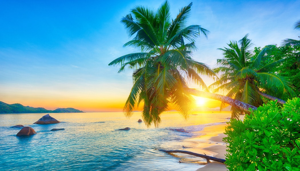 Quand partir aux Seychelles ?