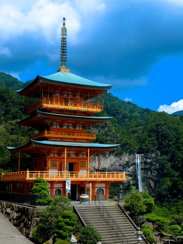 image canva 600 x 800 px 1.png